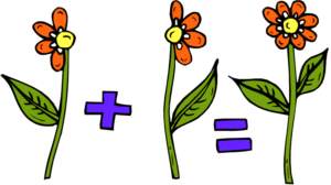 flower fractions